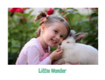 Little World_Memories_Border_RX
